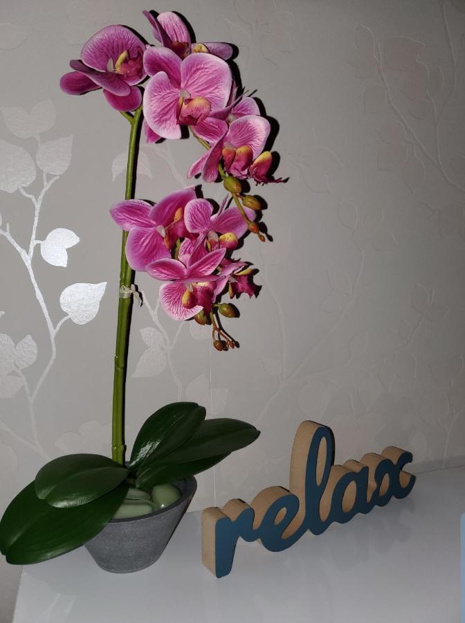 Zlatibor Hills Royal Apartment Luaran gambar