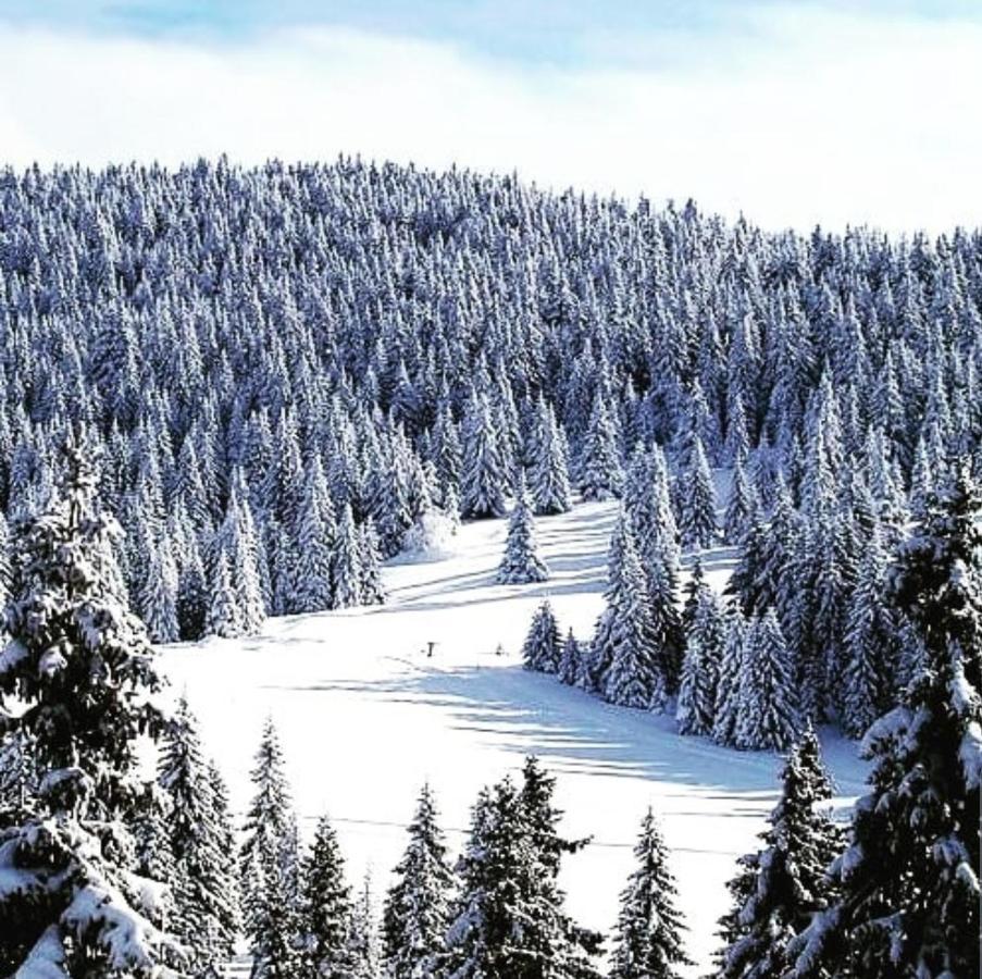 Zlatibor Hills Royal Apartment Luaran gambar