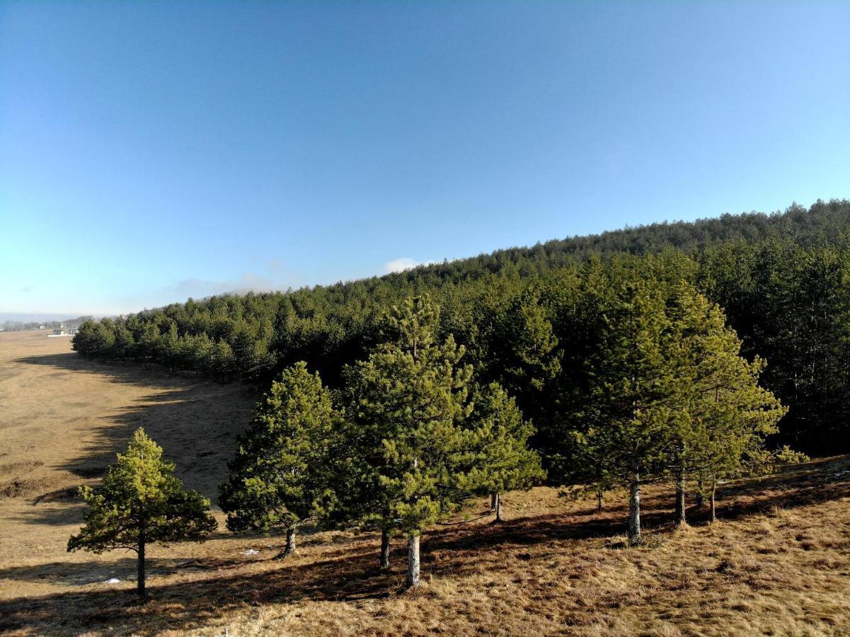 Zlatibor Hills Royal Apartment Luaran gambar