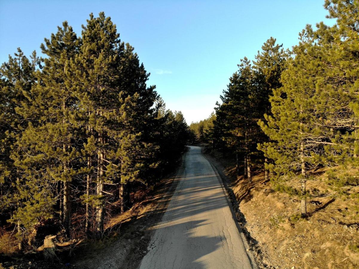 Zlatibor Hills Royal Apartment Luaran gambar