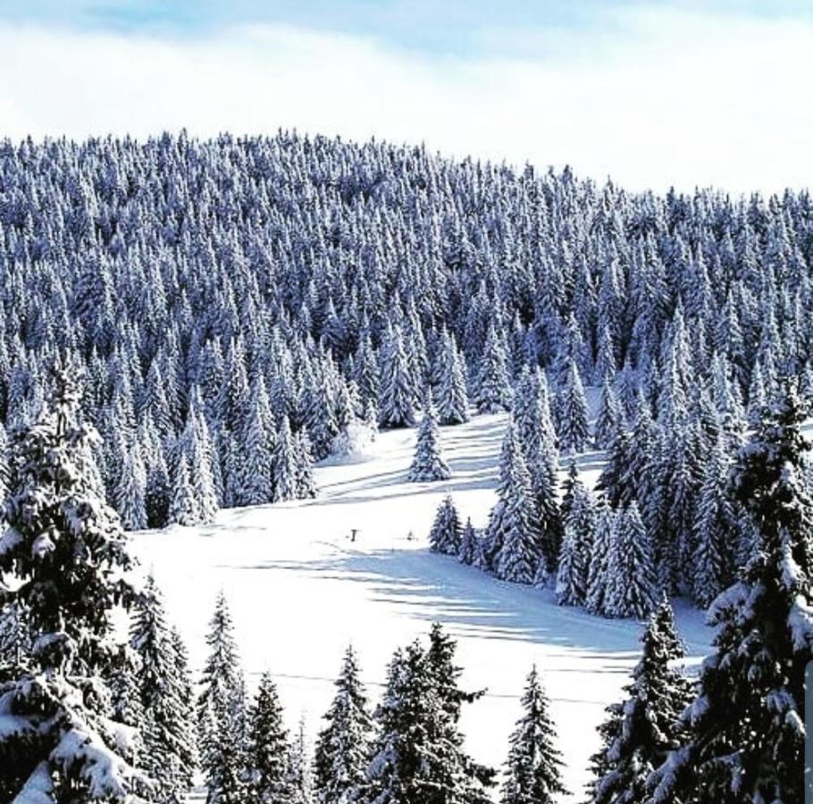 Zlatibor Hills Royal Apartment Luaran gambar