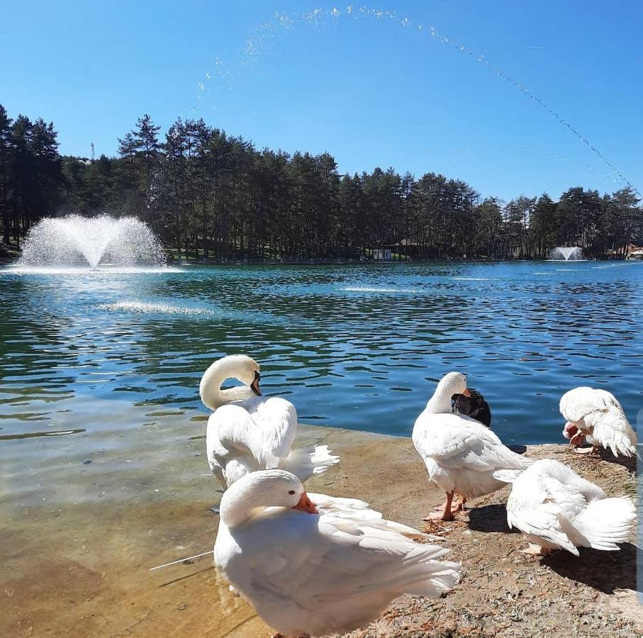 Zlatibor Hills Royal Apartment Luaran gambar